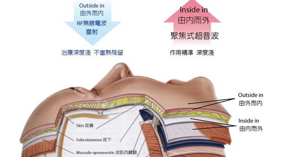 皮膚解剖結(jié)構圖 皮膚解剖結(jié)構圖