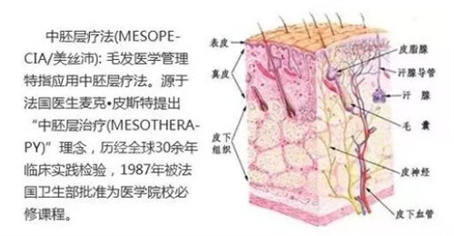 头皮水光的原理