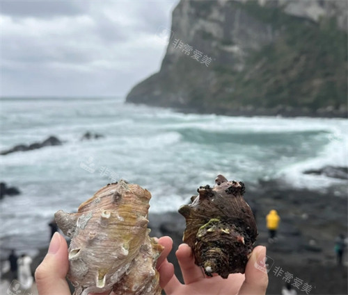 济州岛城山日出峰