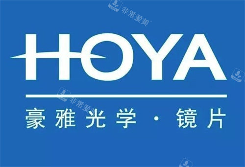 豪雅镜片LOGO