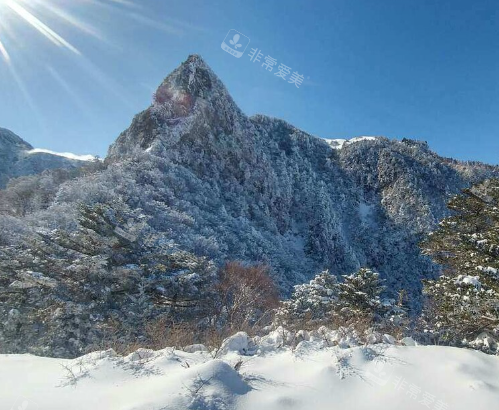 濟州島的冬季景色 濟州島的冬季景色