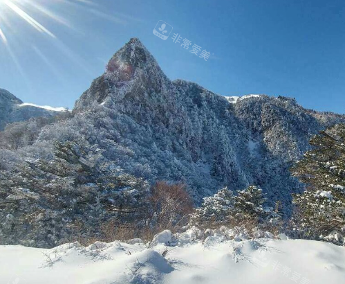 濟州島的冬季景色