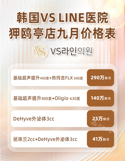 韩国VS-LINE医院狎鸥亭店价格表 韩国VS-LINE医院狎鸥亭店价格表