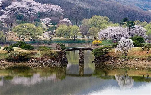 韓國(guó)京畿道旅游景點(diǎn)植物園