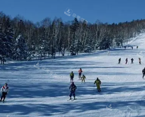 冬季滑雪照片