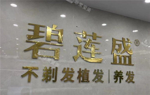 银川碧莲盛植发医院logo.jpg