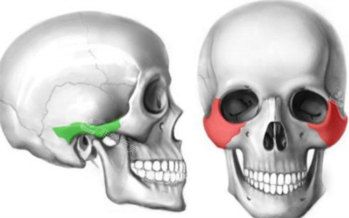 顴弓顴骨所在位置
