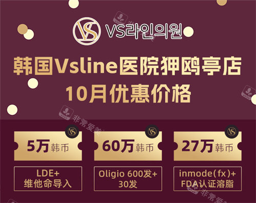 韩国Vsline医院狎鸥亭店价格表 韩国Vsline医院狎鸥亭店价格表