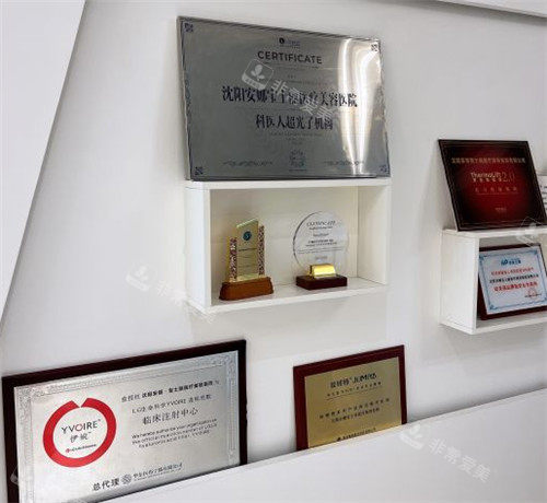 沈阳安娜宝士丽整形荣誉墙