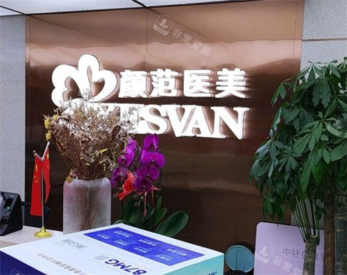 武漢顏范天美整形logo 武漢顏范天美整形logo