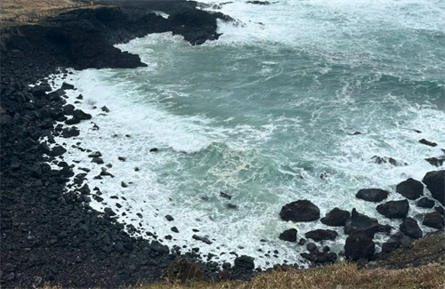 济州岛涉地可支