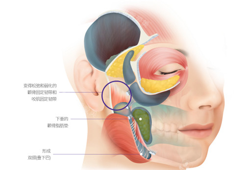 韩国RE-ELE皮肤科中韩同价,分享re-ele-clinic皮肤科地址+预约方式+擅长项目!