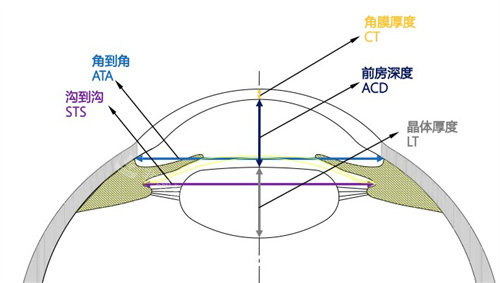 角膜厚度