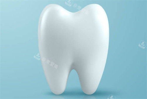 牙齿3D卡通图