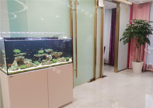 上海聯(lián)合麗格整形環(huán)境