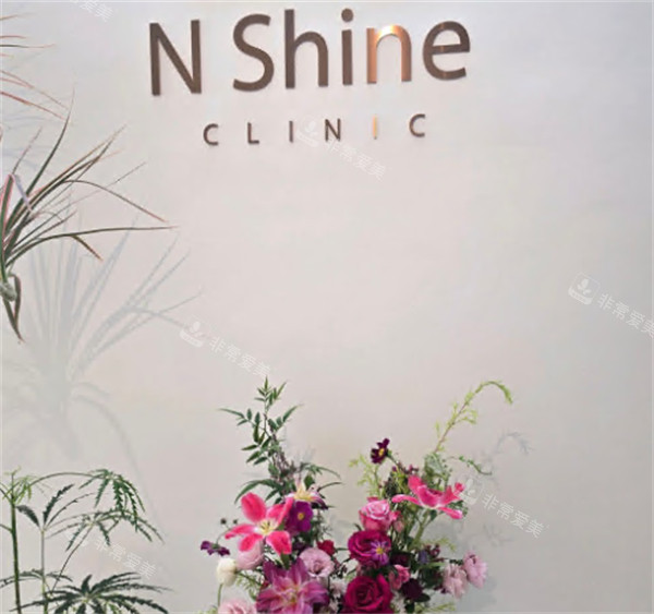 韓國清潭nshine皮膚科logo 韓國清潭nshine皮膚科logo