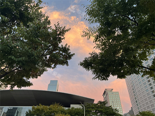 韩国旅游攻略整理，赴韩游玩这篇功课你可以收好了！