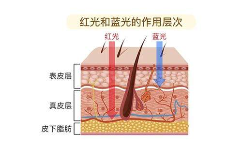 紅藍(lán)光作用層次