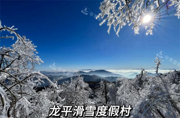 龍平滑雪度假村