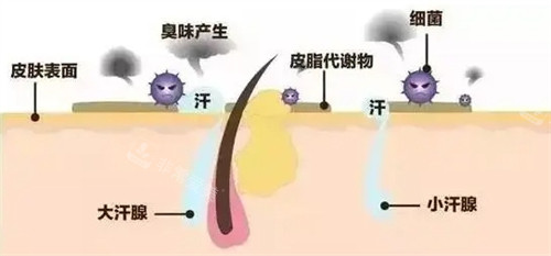 成都軍大VS友誼醫(yī)院:...