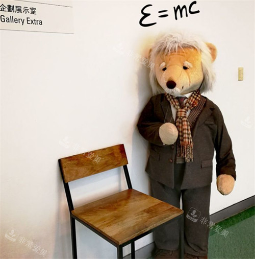 濟州島泰迪熊博物館企劃展示室