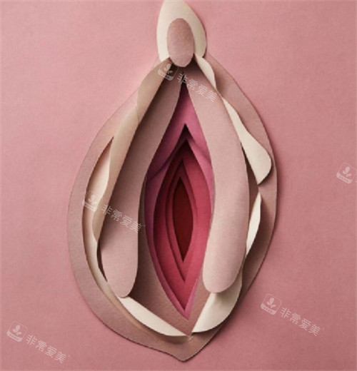 女性私密部位美觀的樣子圖片 女性私密部位美觀的樣子圖片