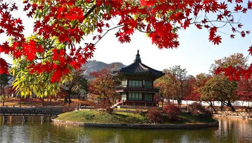 韩国有哪些值得打卡的景点为大家整理一份，希望大家玩的开心哦！