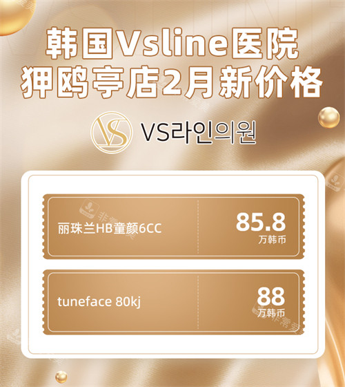 韩国Vsline医院-狎鸥亭店2月价格表