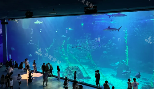 济州岛海洋馆值得一去吗？西归浦市济州岛Aqua Planet水族馆游玩攻略