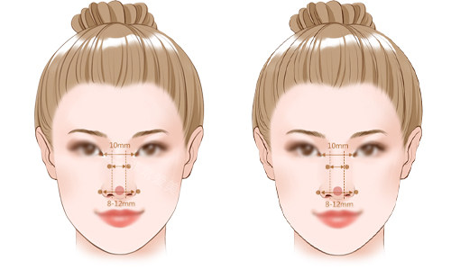 標(biāo)準(zhǔn)鼻子的比例展示