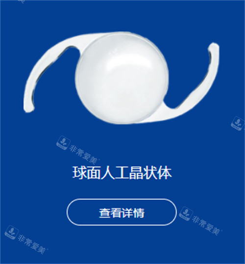 爱博诺德人工晶体动画图示