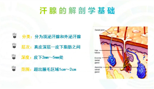 miraDry清新微波治疗层次