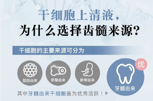 日本齿髓干细胞上清液是什么