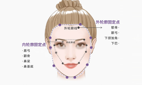 面部轮廓说明