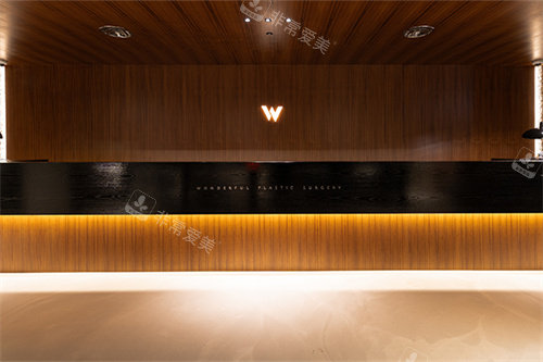 韩国Wonderful整形外科医院LOGO 韩国Wonderful整形外科医院LOGO
