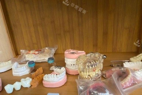 北京亿阳口腔牙齿模型