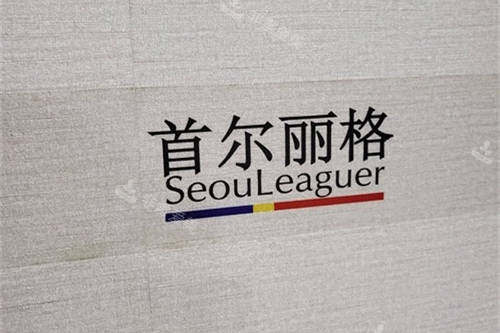 上海首尔 丽格医疗美容医院品牌图