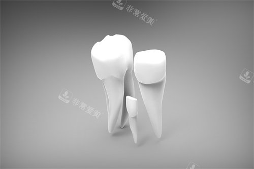 牙齿操作示意图