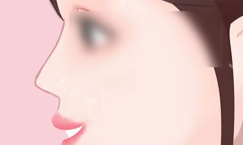 直鼻动画图.