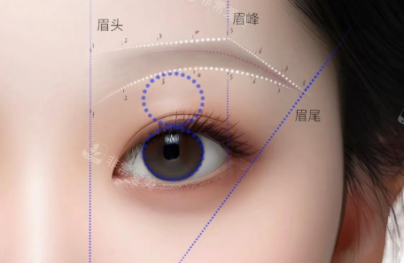 畫眉毛的方法 畫眉毛的方法