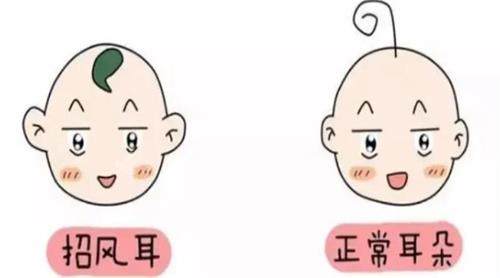 耳朵对比 耳朵对比