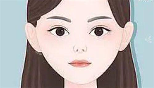 朝天鼻正面动画展示图