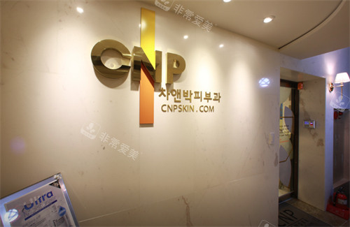 韩国cnp皮肤科LOGO