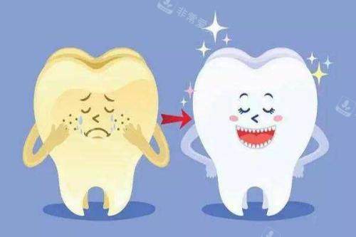 冷光美白前后对比动画图