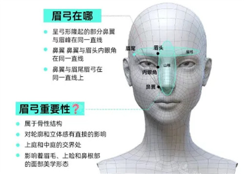 眉弓位置介绍