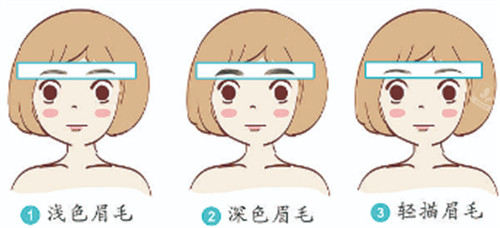紋眉眉形