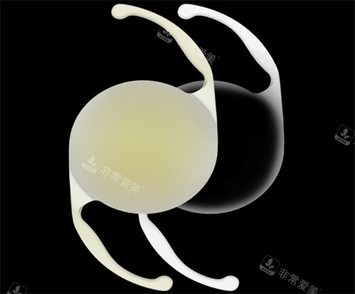 爱尔康人工晶体展示图