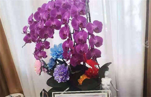 上海虹橋醫(yī)院私密科大廳陳設(shè)
