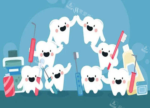 牙齿日常维护卡通宣传图