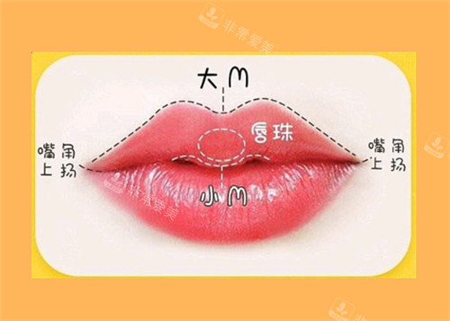 M唇的样子